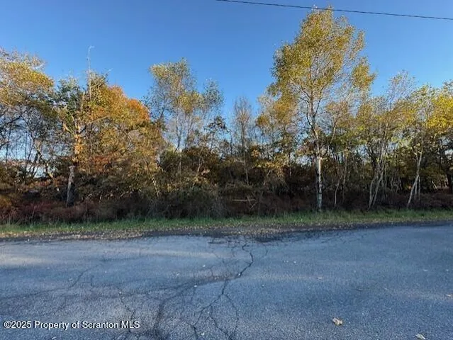 a view of a field with trees in the background