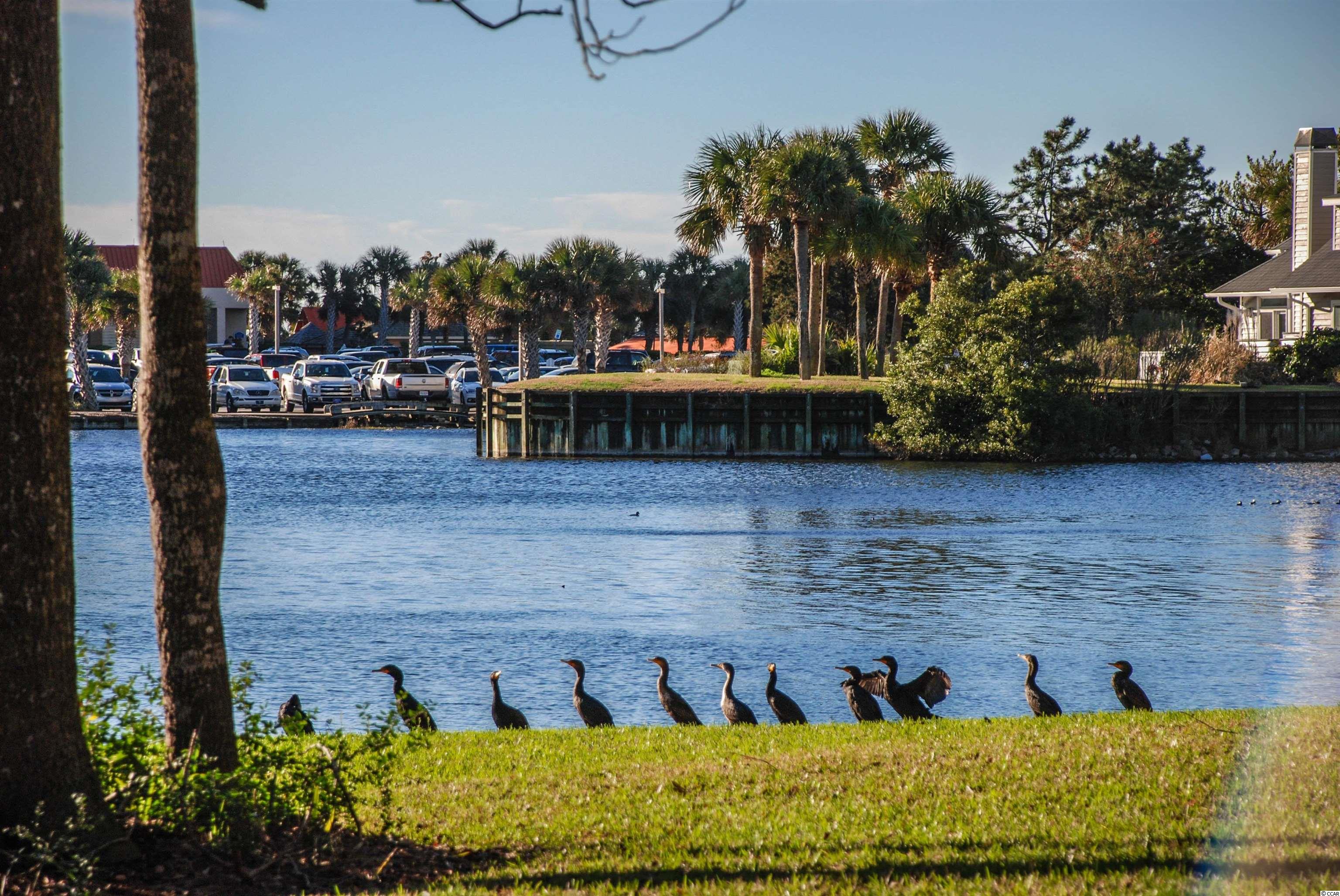 180 Rothbury Circle, Unit 305 Myrtle Beach, SC 29572 - Photo 26 of 26