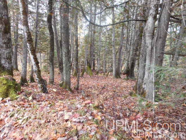 28662 South Wasas Road Mass City, MI 49948 - Photo 9 of 13