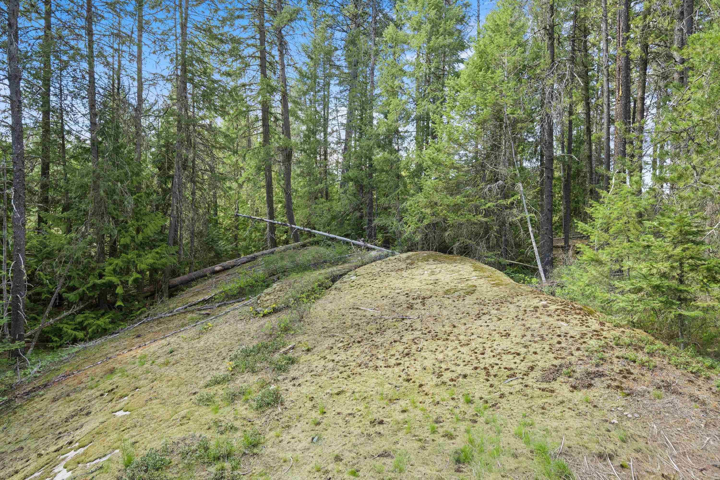 242 Quartz Road Newport, WA 99156 - Photo 18 of 37 Gallery Image 18