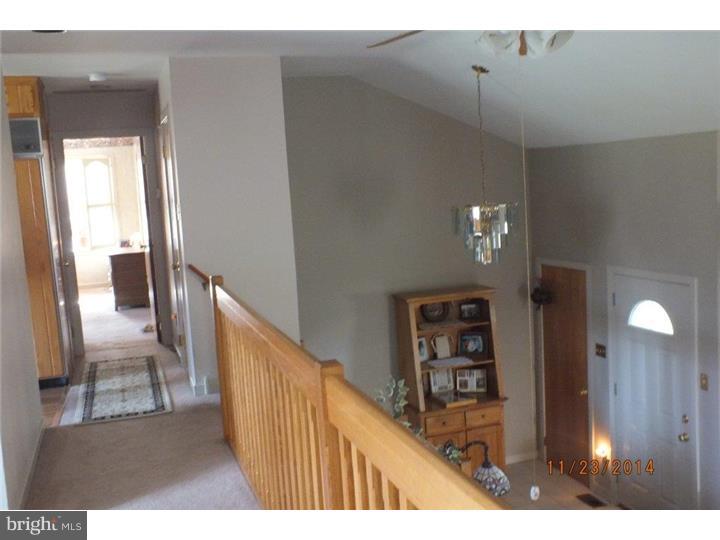507 Flora Circle Springfield, PA 19064 - Photo 6 of 25 Hallway