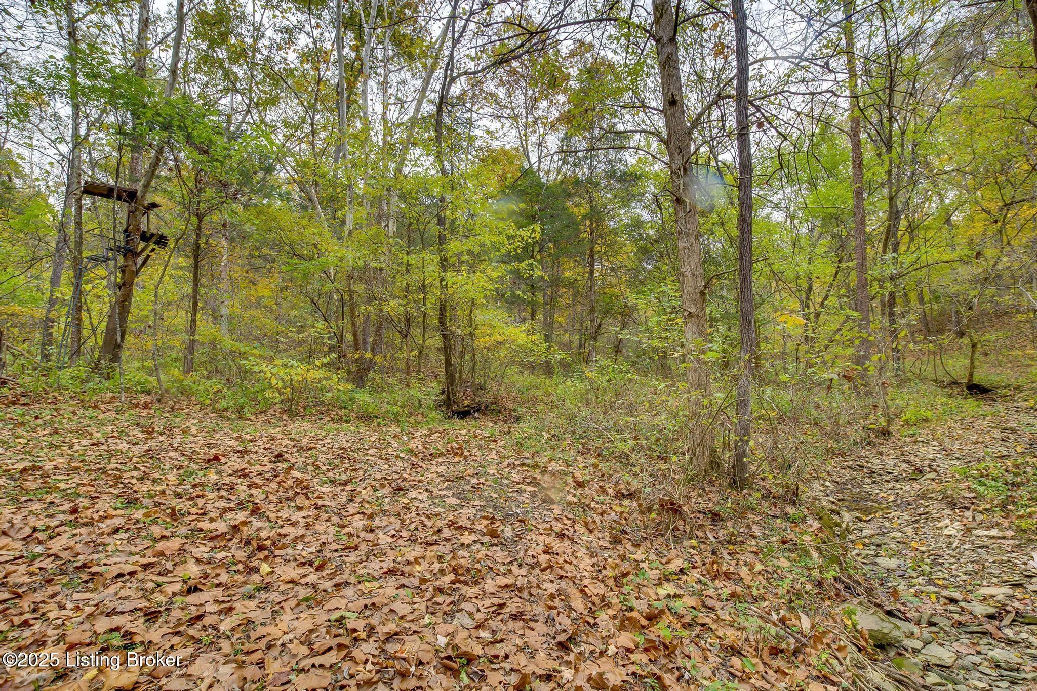 Lot 8 Bray Ridge Road Bedford, KY 40006 - Photo 23 of 46 BrayRidgeRd_752