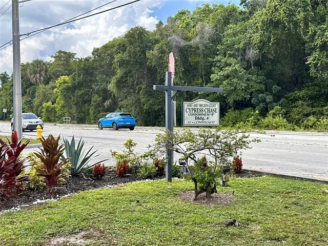 a view of a bench in the garden