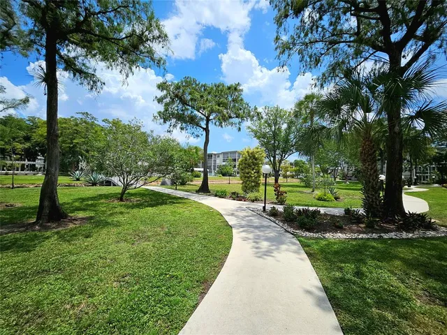 a view of a park with large trees
