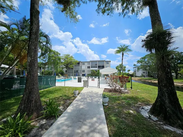 a view of a park with a tree