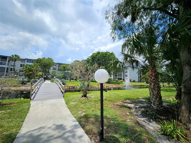 a view of a park with a large tree plants and a park