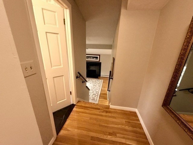 12 Barbara Road Canton, MA 02021 - Photo 20 of 35