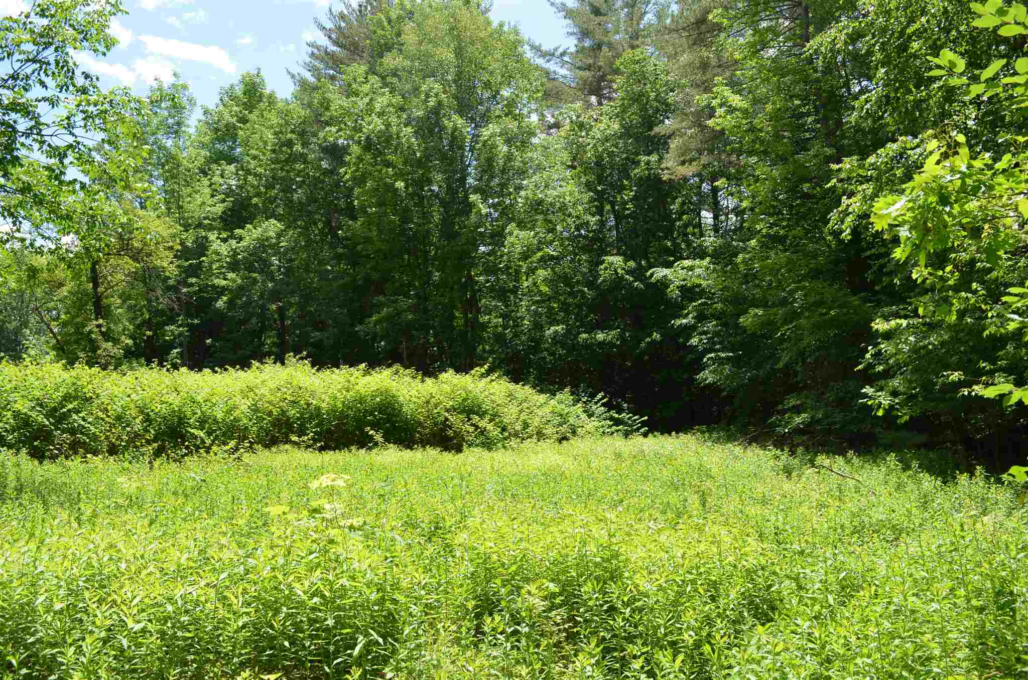 0 Spaulding Road Ludlow, VT 05149 - Photo 3 of 12 Gallery Image 3