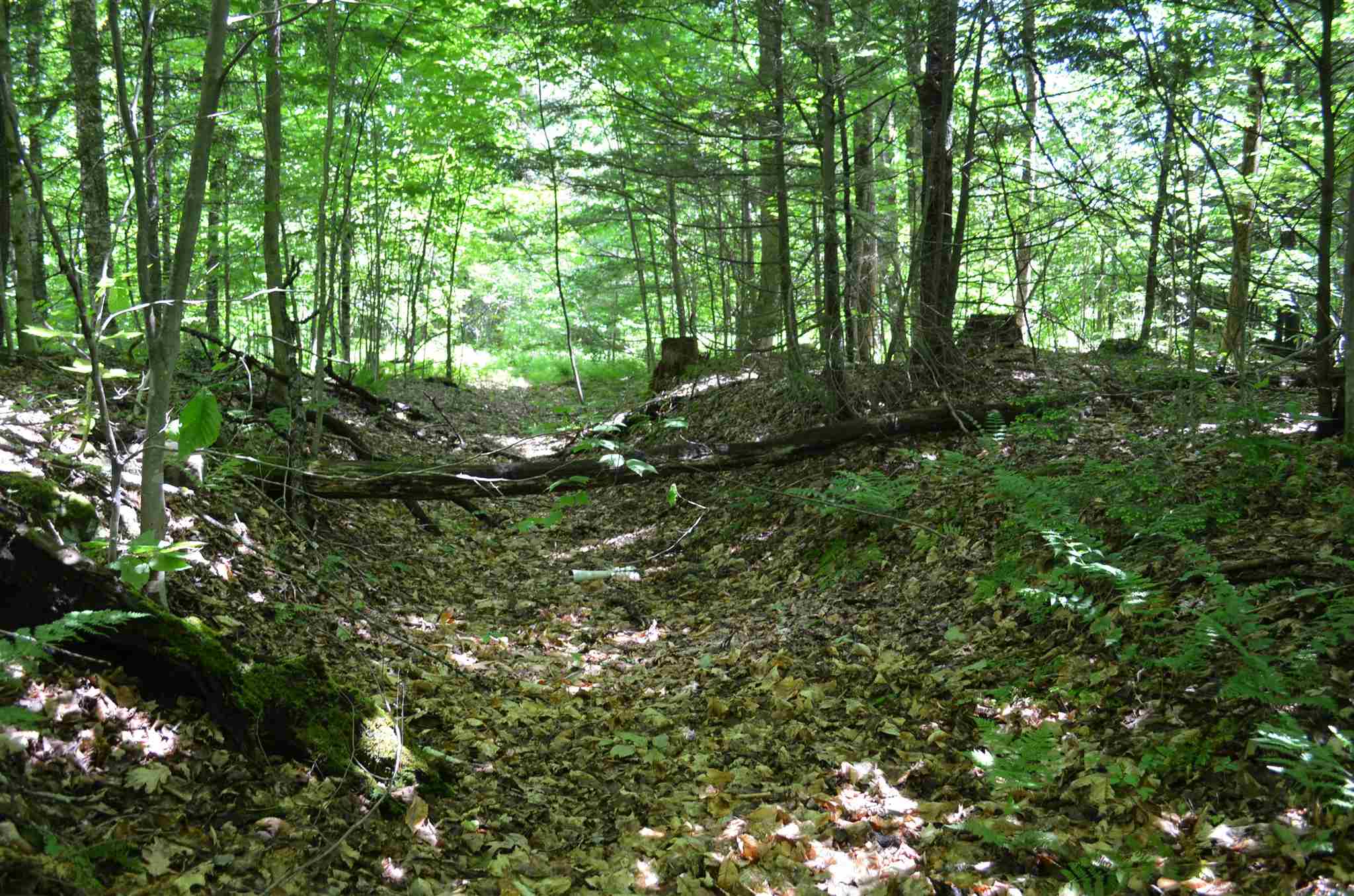 0 Spaulding Road Ludlow, VT 05149 - Photo 5 of 12 Gallery Image 5