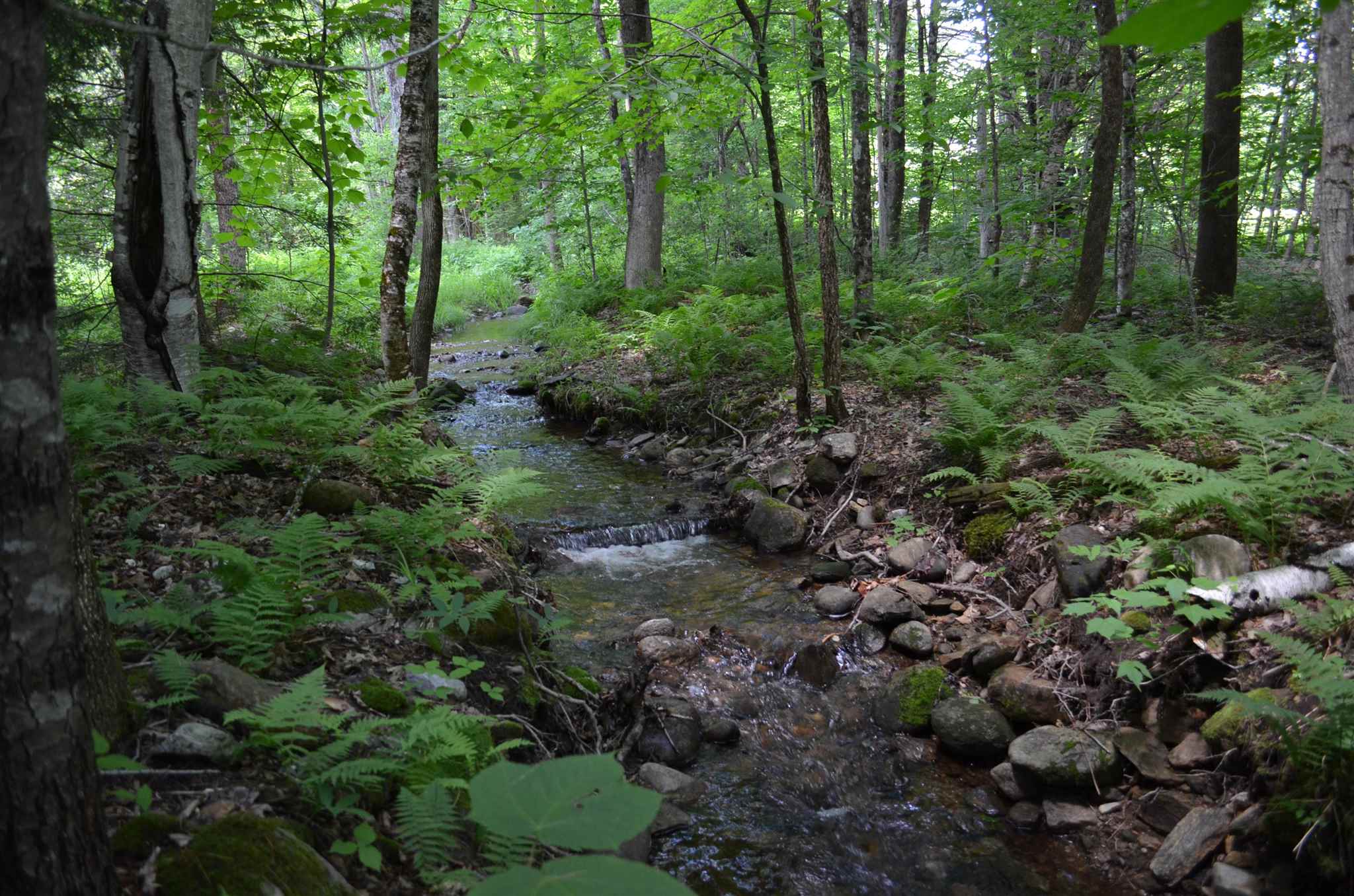 0 Spaulding Road Ludlow, VT 05149 - Photo 6 of 12 Gallery Image 6