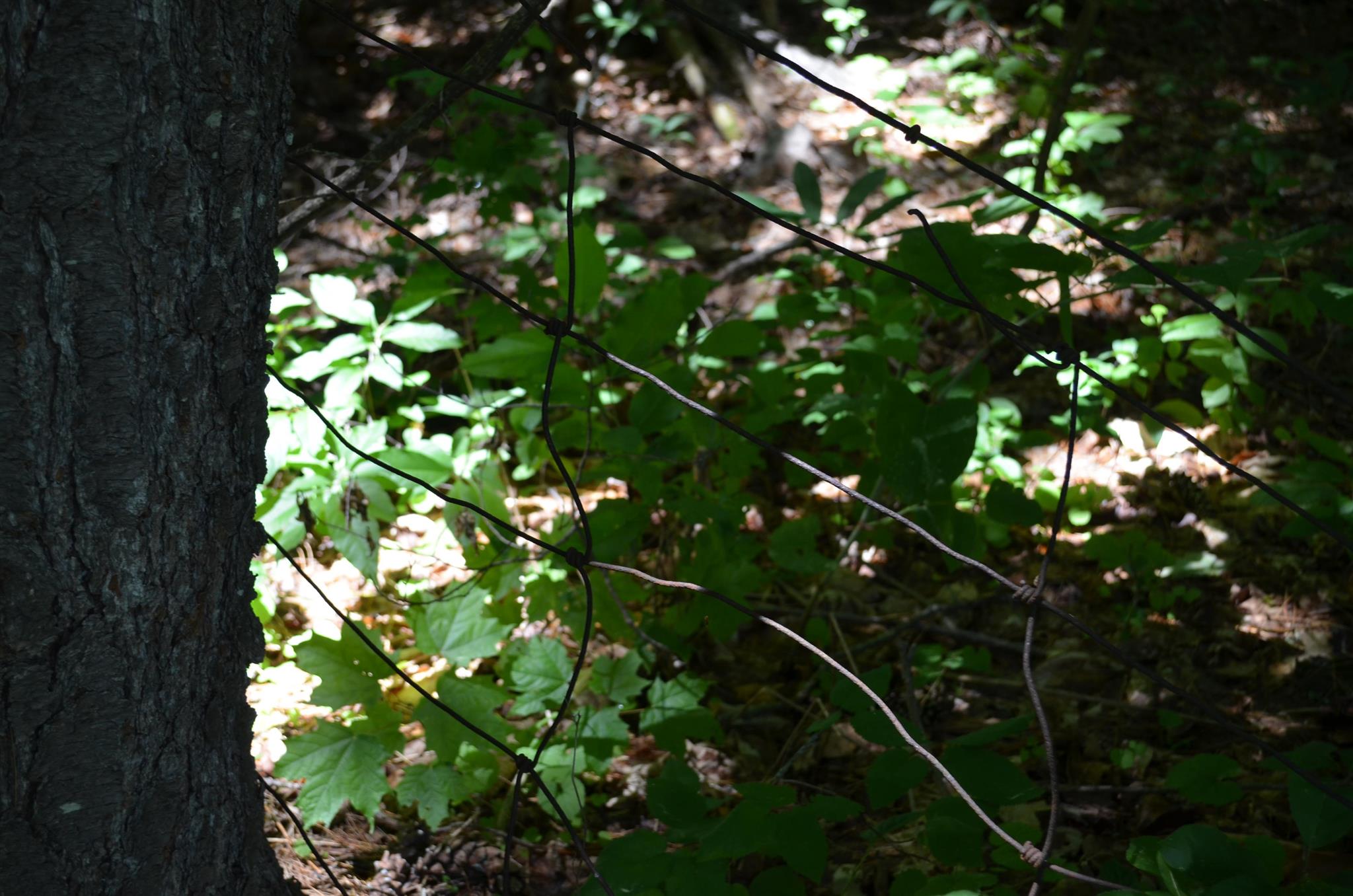 0 Spaulding Road Ludlow, VT 05149 - Photo 8 of 12 Gallery Image 8