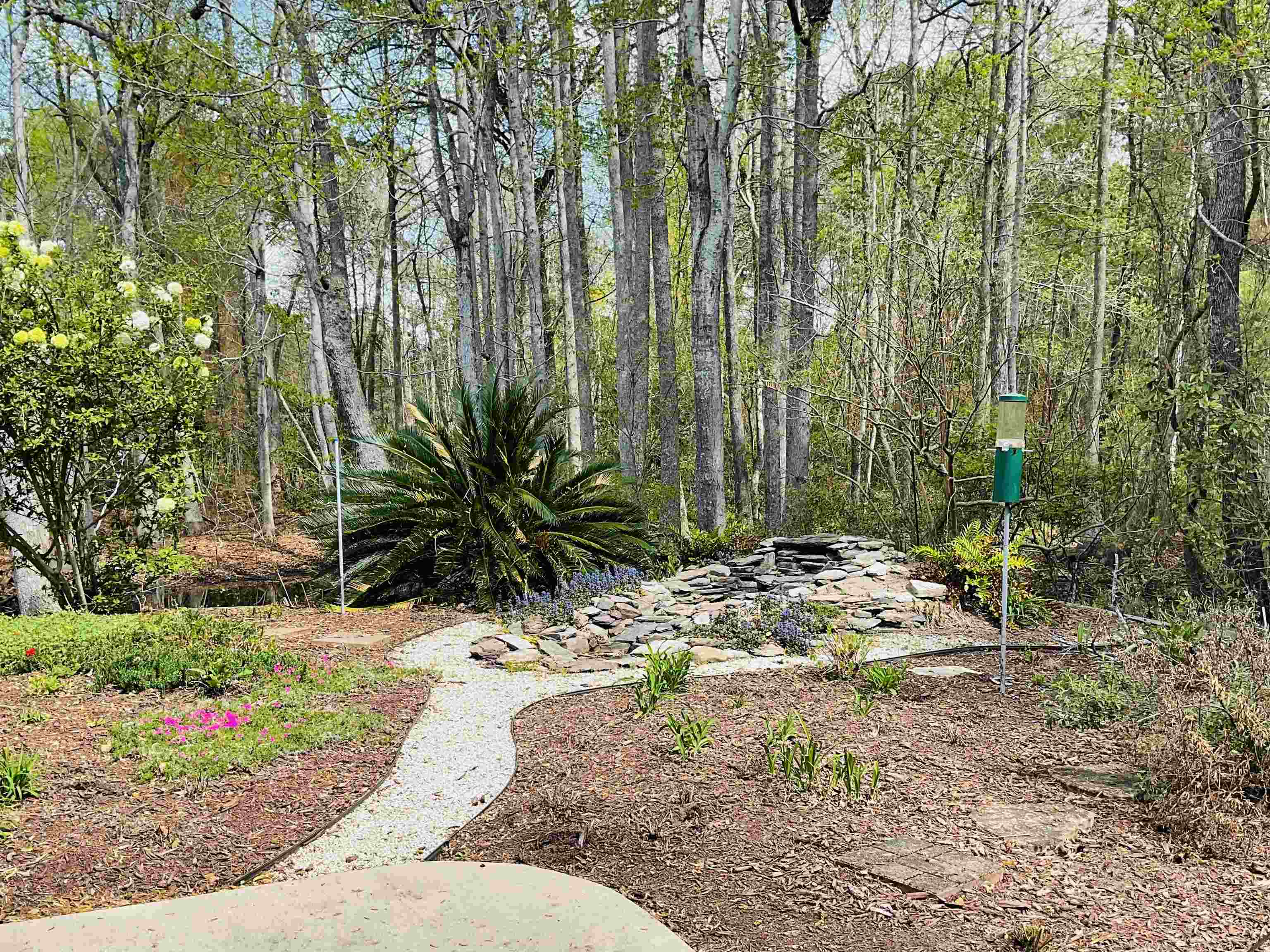 242 Hyacinth Loop Murrells Inlet, SC 29576 - Photo 36 of 44