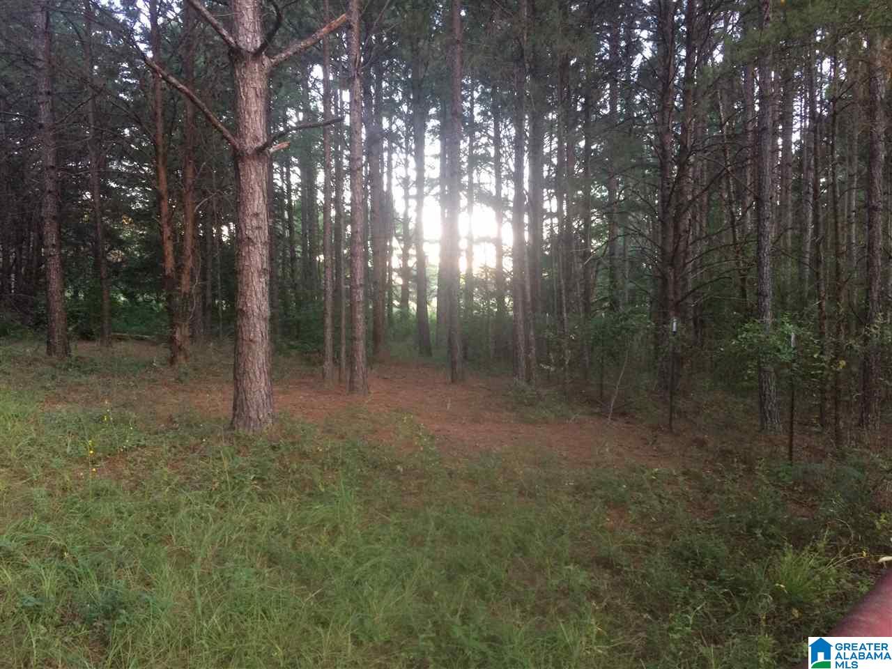17999 Groundhog Road, Unit 40 Adger, AL 35006 - Photo 7 of 10