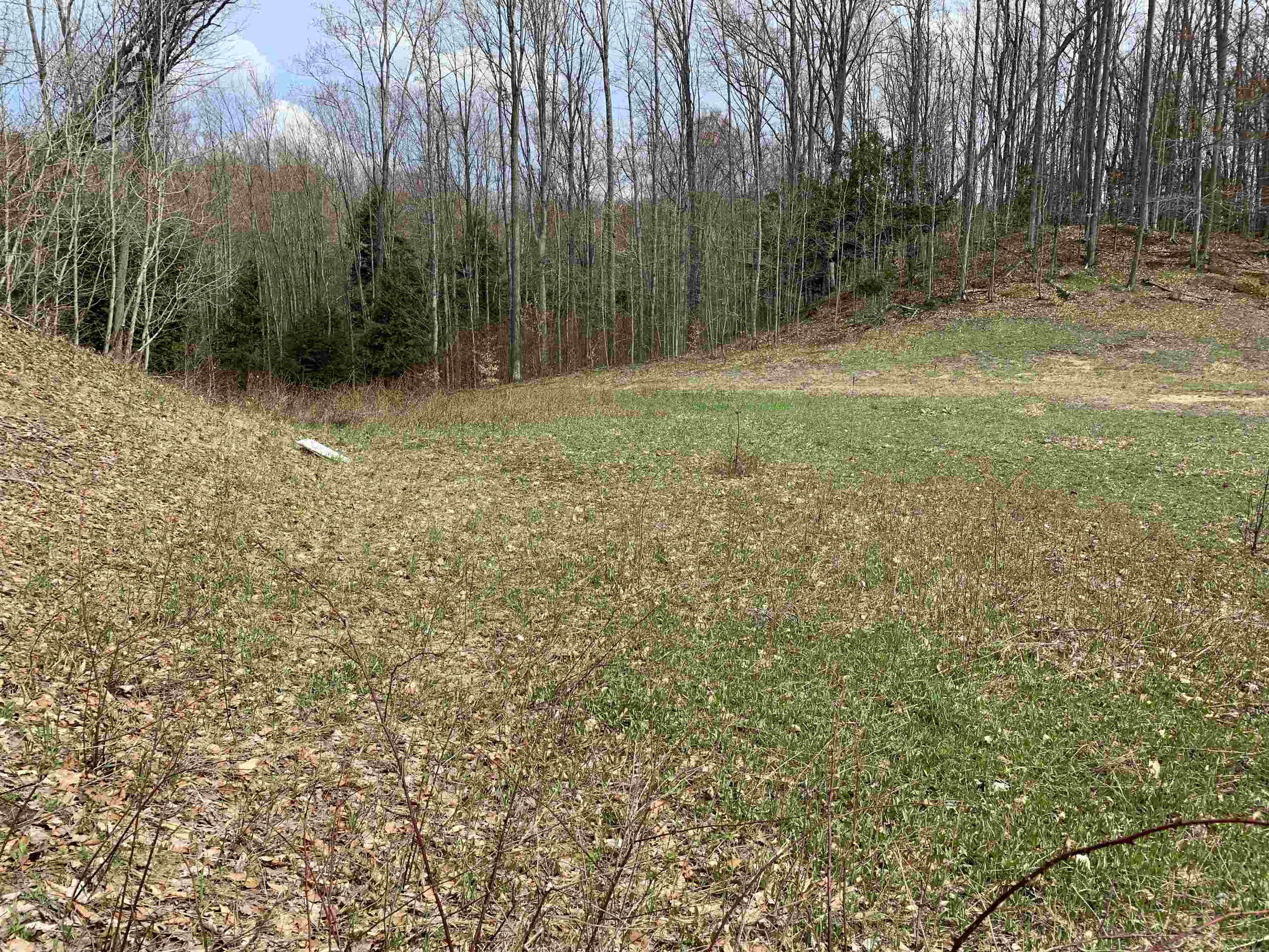 Underhill Road, Unit VACANT Kalkaska, MI 49646 - Photo 4 of 7 Gallery Image 4