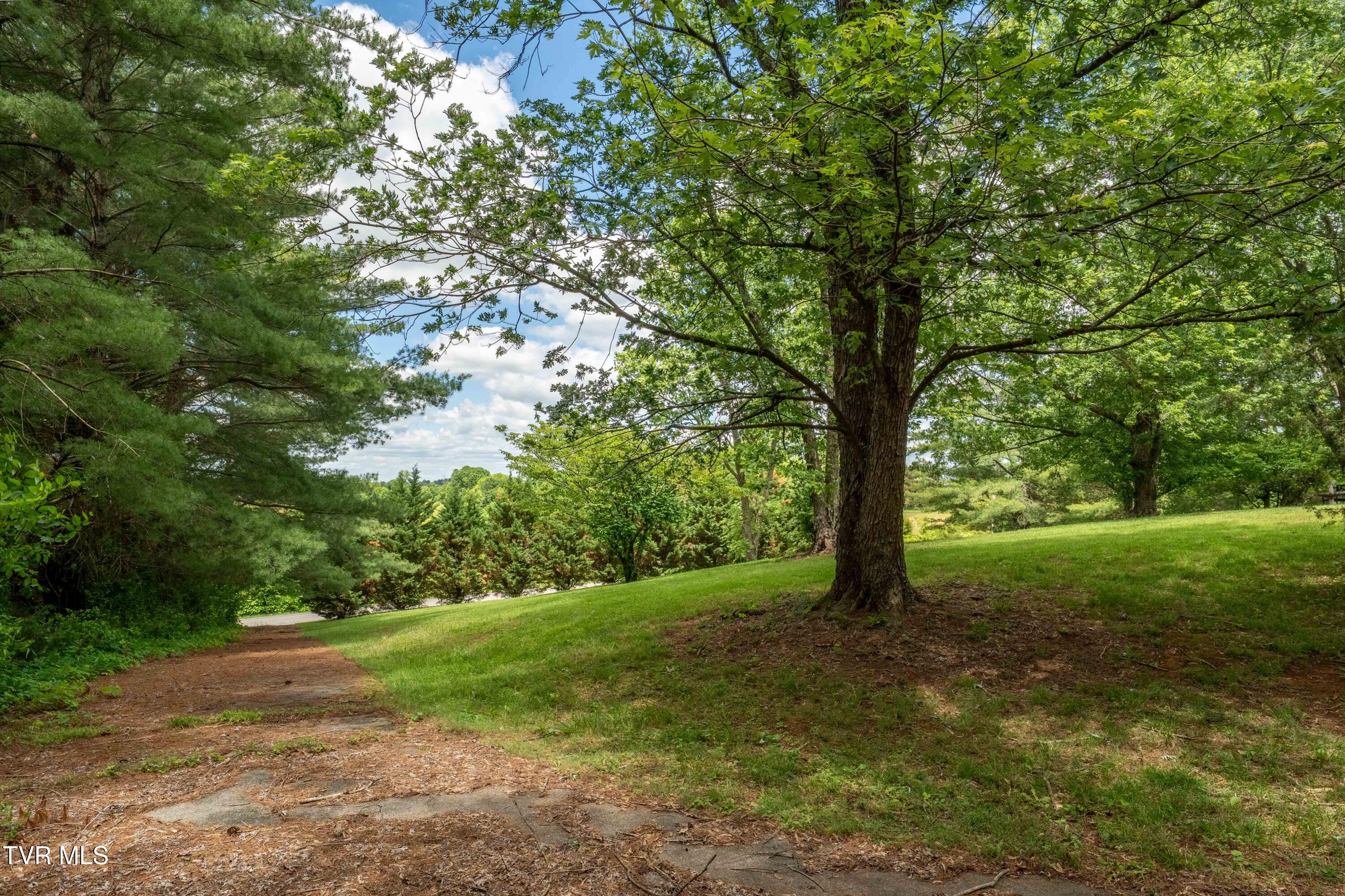 293 Miller Road Jonesborough, TN 37659 - Photo 45 of 68 293 Miller Rd (34 of 85)