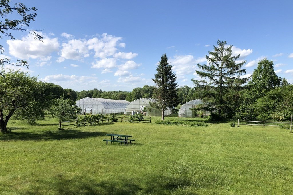 416 Bay Road Amherst, MA 01002 - Photo 20 of 42 a backyard of a house with a yard and outdoor seating