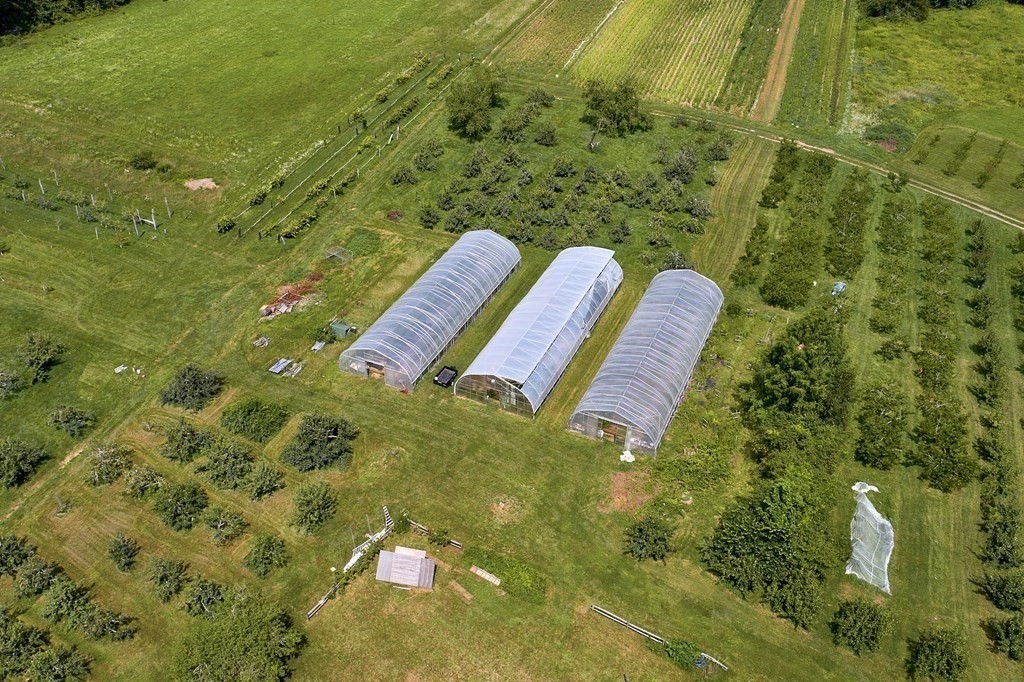 416 Bay Road Amherst, MA 01002 - Photo 22 of 42 a view of a yard