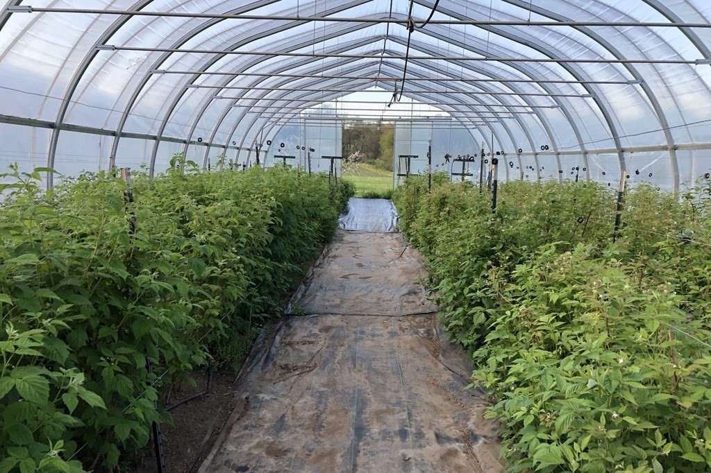 416 Bay Road Amherst, MA 01002 - Photo 23 of 42 a view of a garden