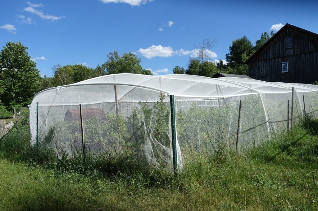 416 Bay Road Amherst, MA 01002 - Photo 24 of 42 a view of a backyard