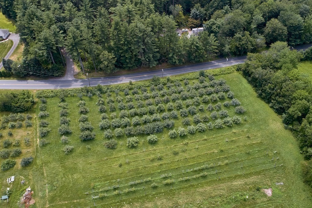 416 Bay Road Amherst, MA 01002 - Photo 25 of 42