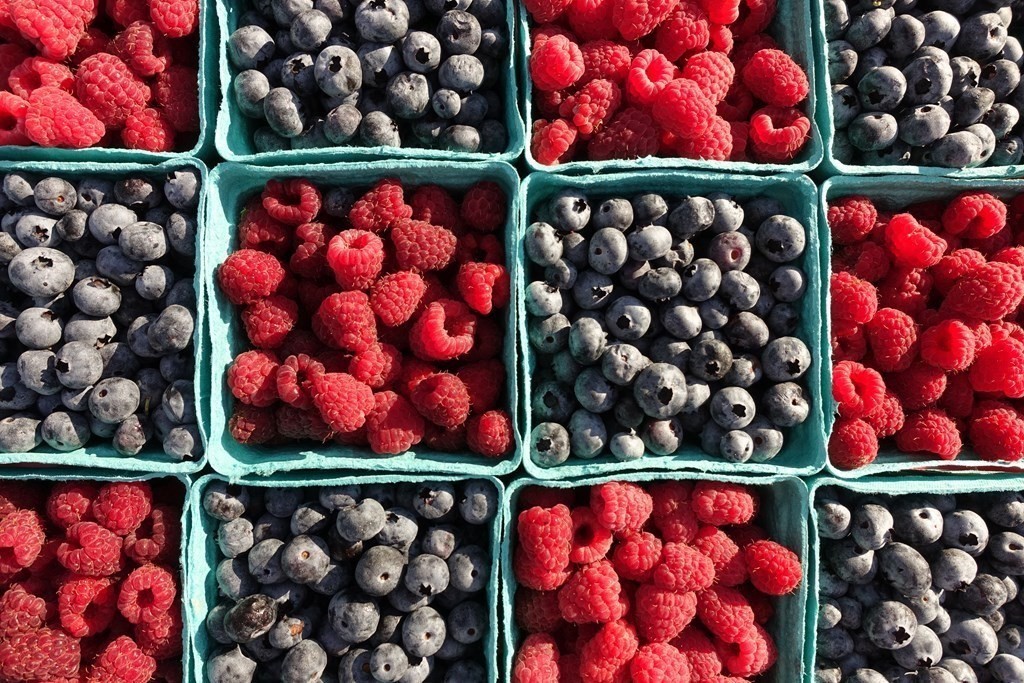 416 Bay Road Amherst, MA 01002 - Photo 30 of 42