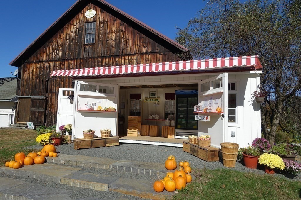 416 Bay Road Amherst, MA 01002 - Photo 33 of 42 a view of a two chairs in the patio