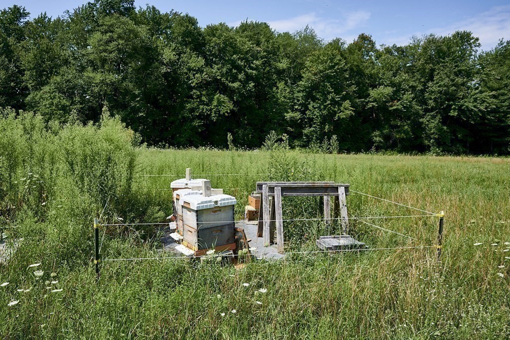 416 Bay Road Amherst, MA 01002 - Photo 37 of 42 a view of a house with backyard sitting area and garden