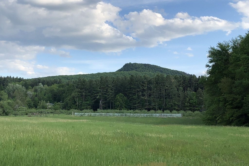 416 Bay Road Amherst, MA 01002 - Photo 42 of 42 a view of outdoor space and yard