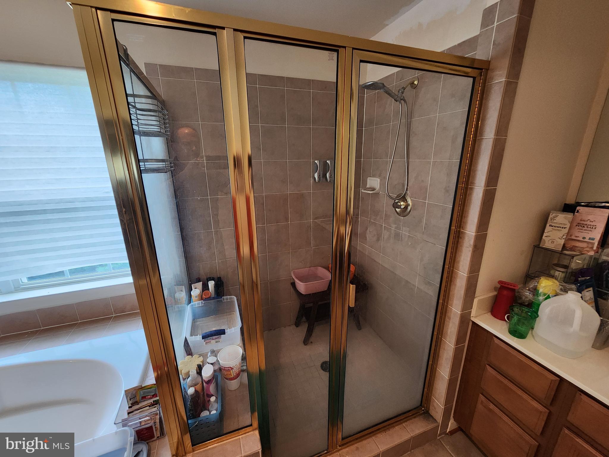 9815 Oxbridge Way Bowie, MD 20721 - Photo 19 of 28 a bathroom with a shower