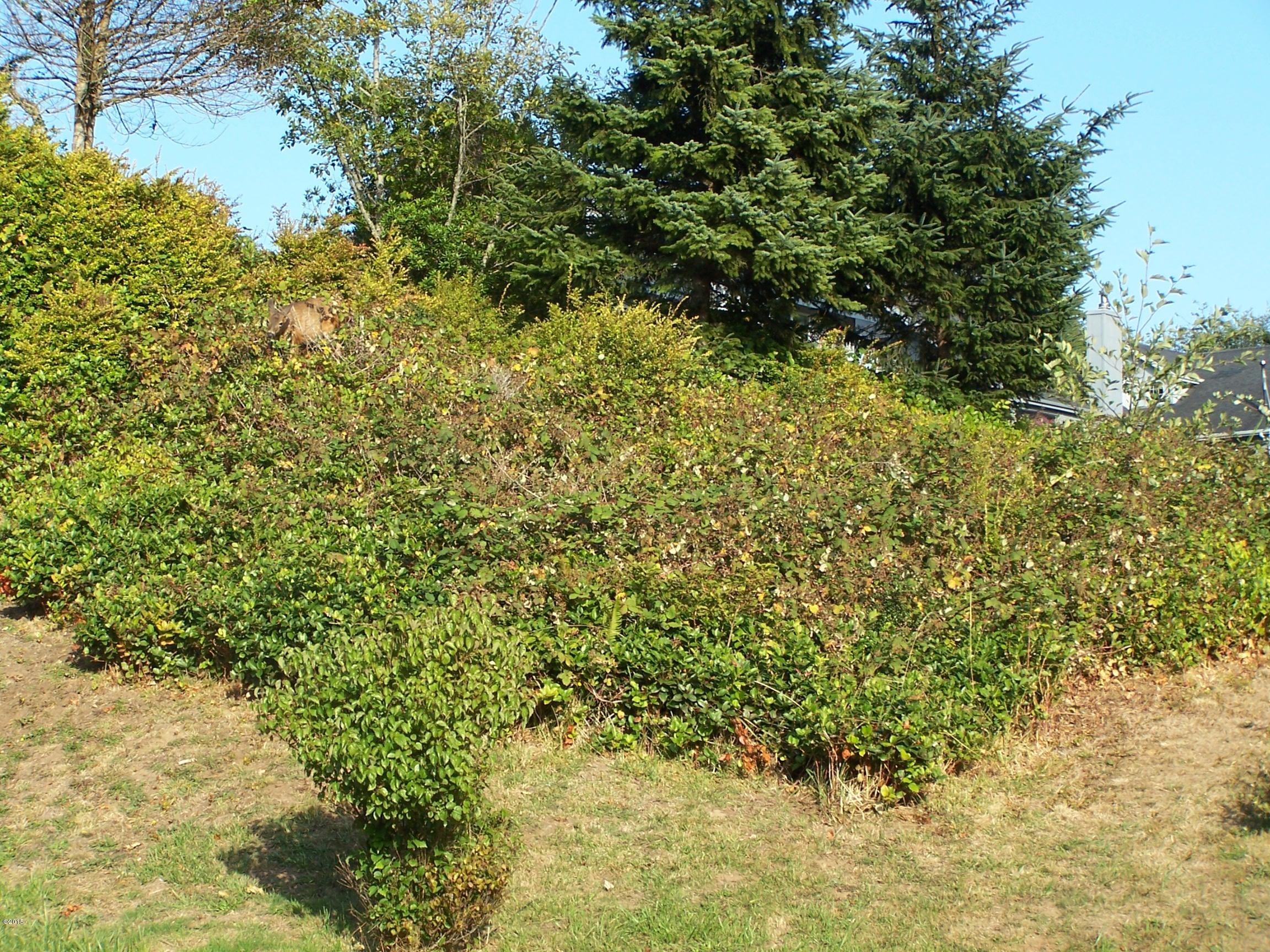 151 Combs Circle Yachats, OR 97498 - Photo 4 of 4 Wood lot 3