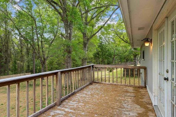 a view of a yard with large tree