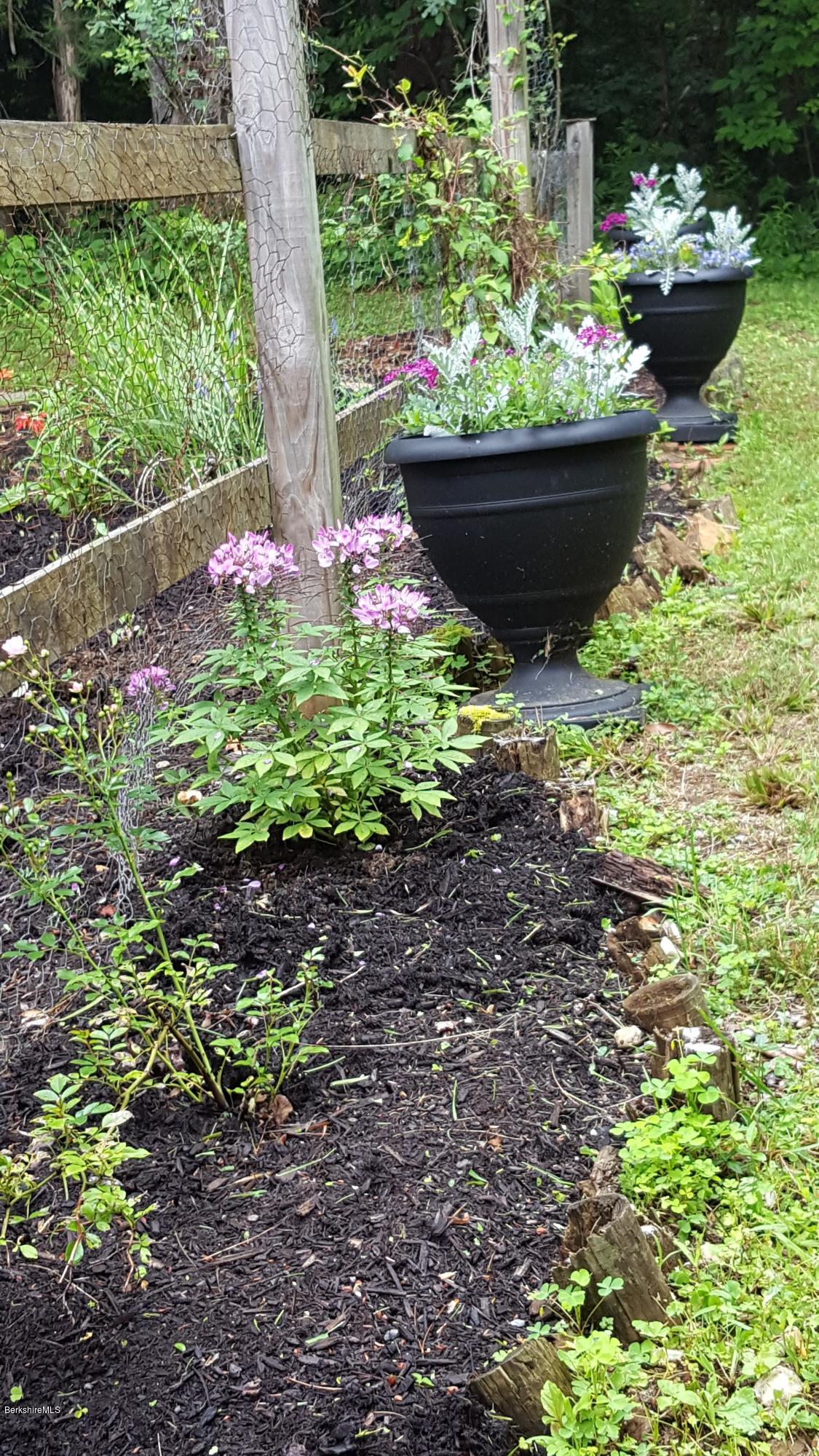 96 Shore Road Hinsdale, MA 01235 - Photo 46 of 67 Gardens 6
