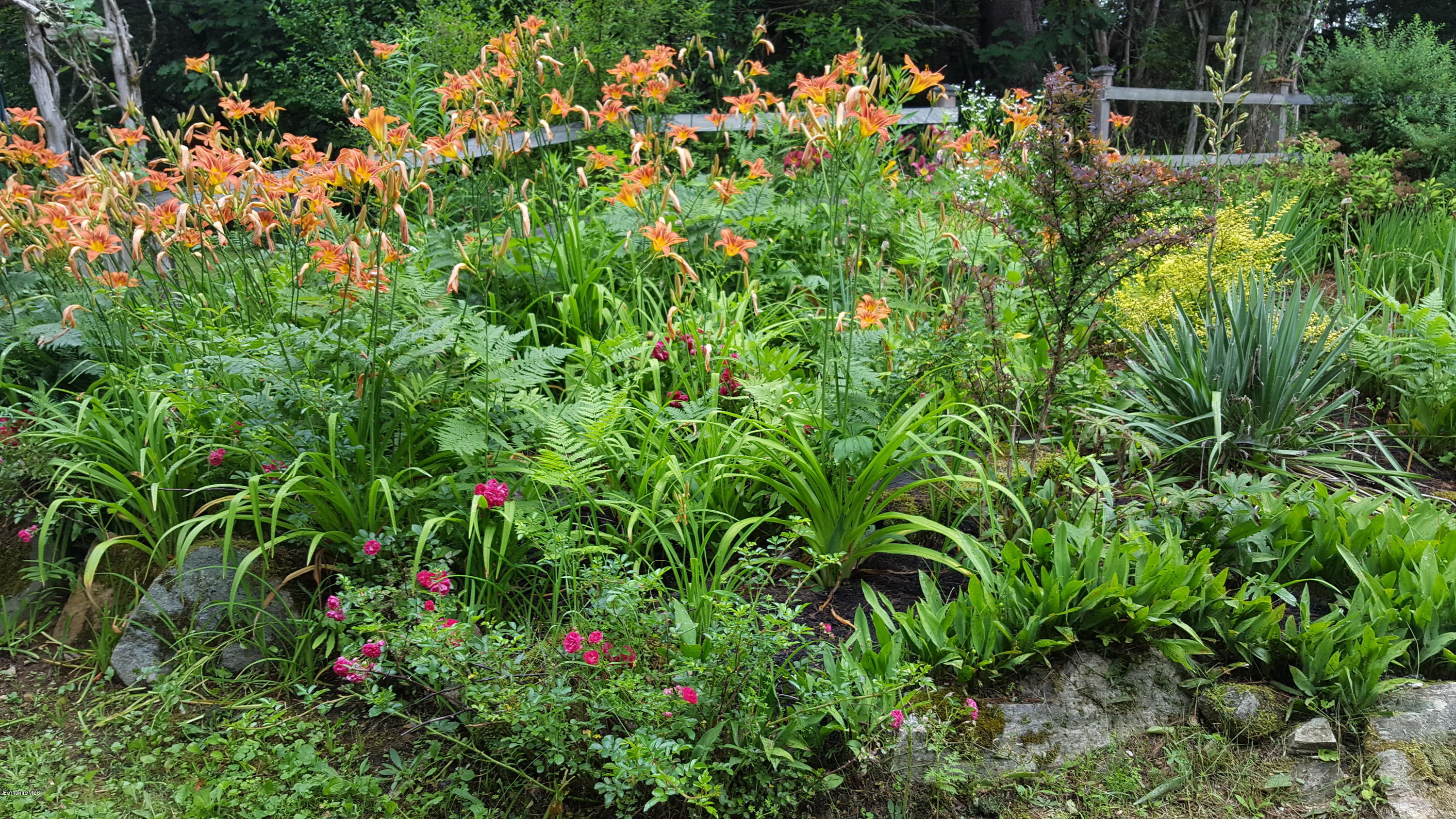 96 Shore Road Hinsdale, MA 01235 - Photo 52 of 67 Gardens 8