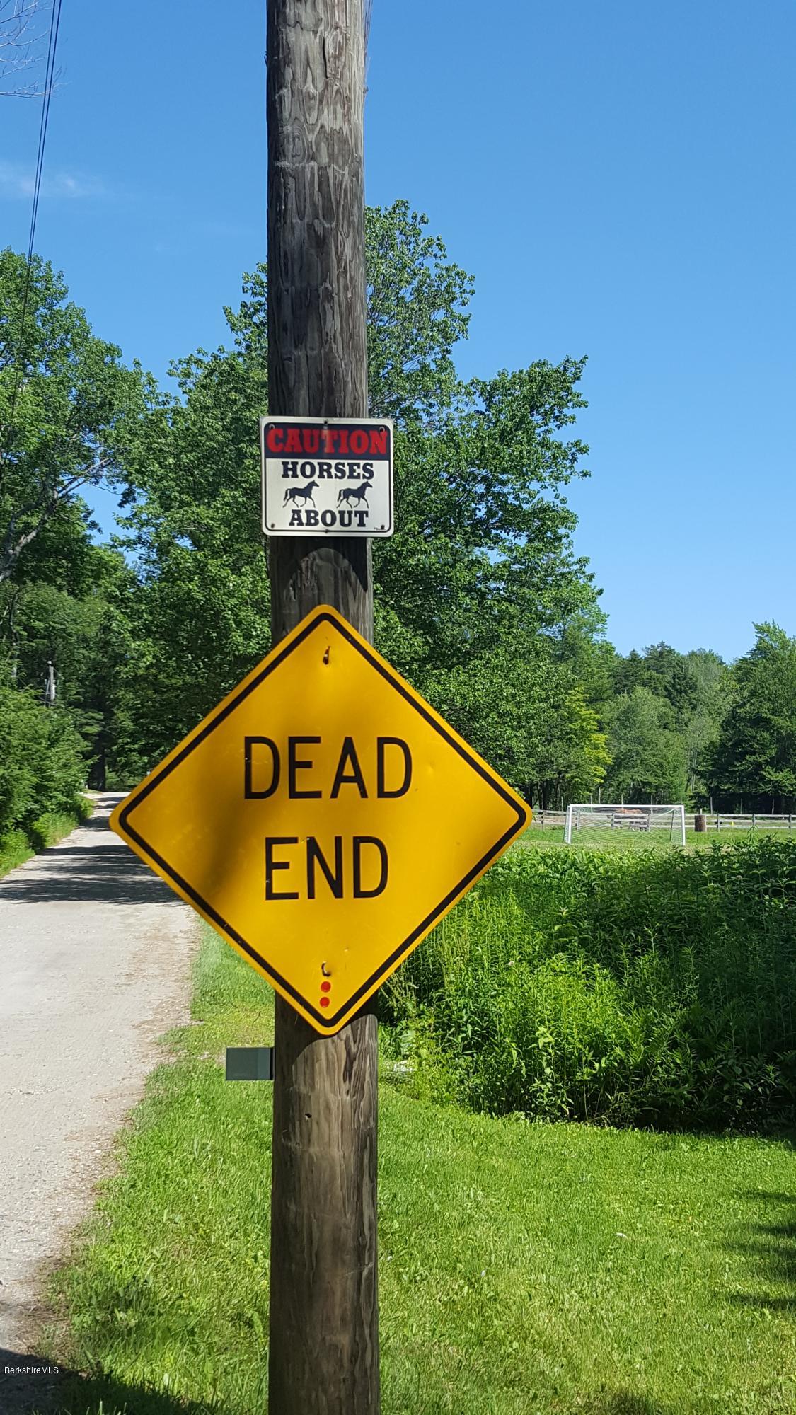96 Shore Road Hinsdale, MA 01235 - Photo 64 of 67 Dead end