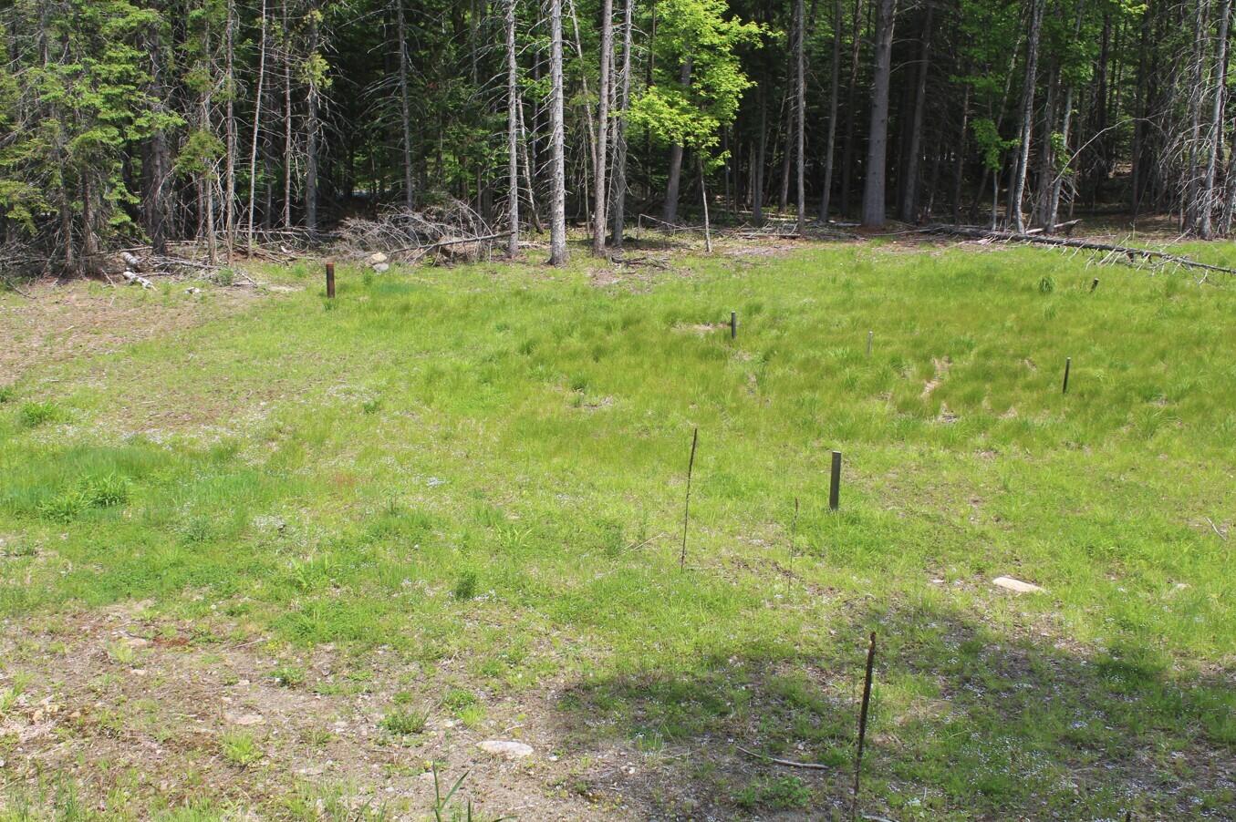 132 Fred Gay Road Indian Lake, NY 12842 - Photo 5 of 7 08