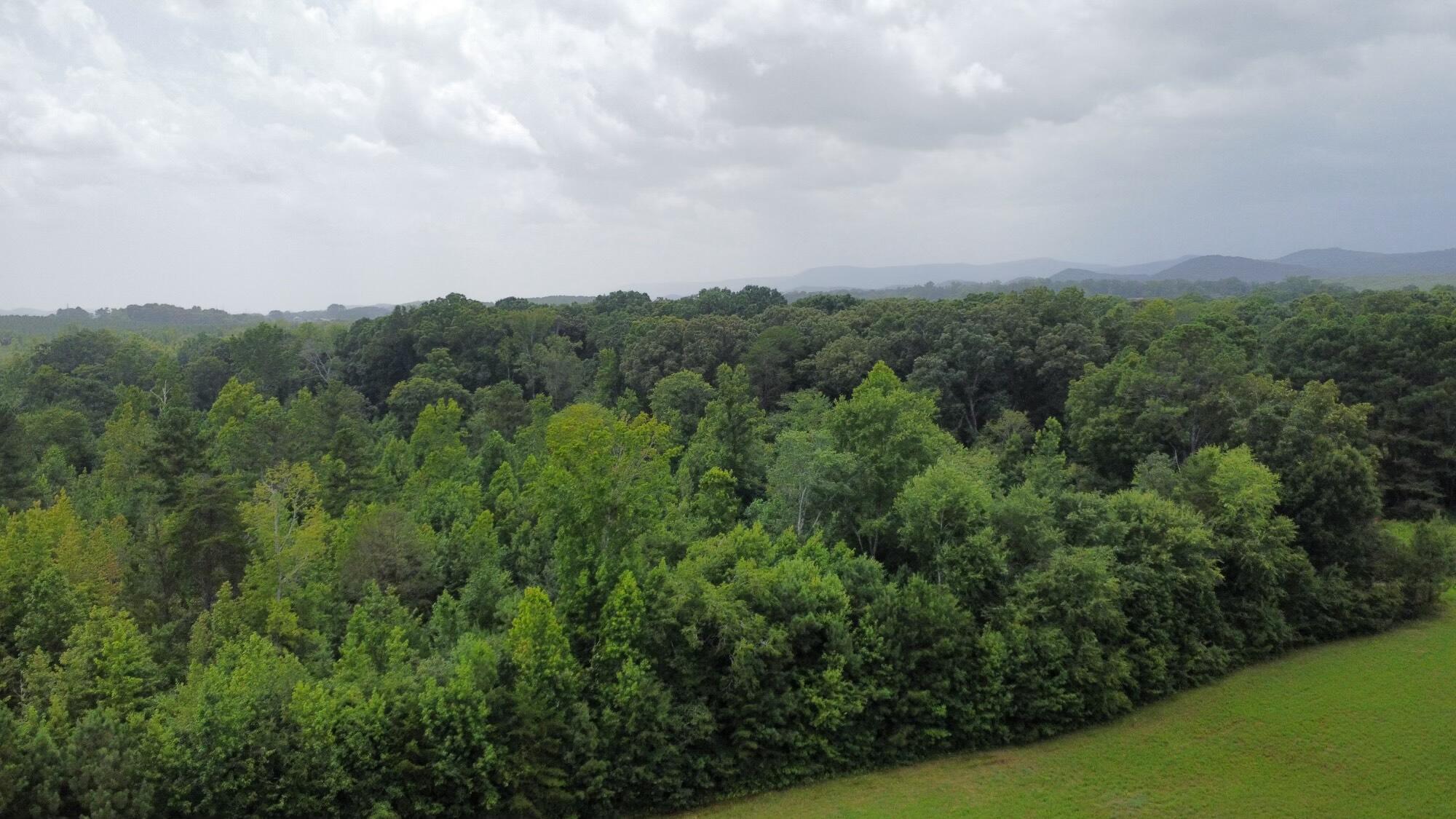 533 West Reed Road LaFayette, GA 30728 - Photo 20 of 20 dji_fly_20240802_133922_188_172262037031