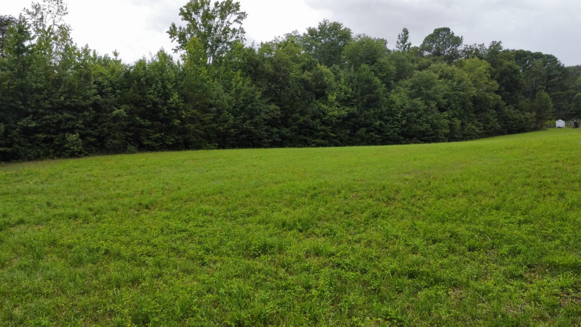 533 West Reed Road LaFayette, GA 30728 - Photo 3 of 20 dji_fly_20240802_134114_191_172262048081
