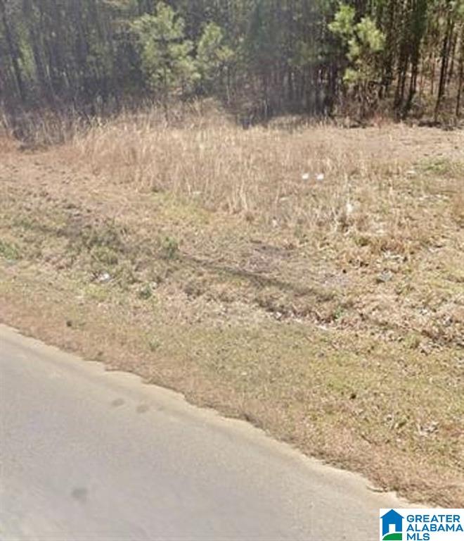 0 Henry Road Southwest Jacksonville, AL 36265 - Photo 5 of 7