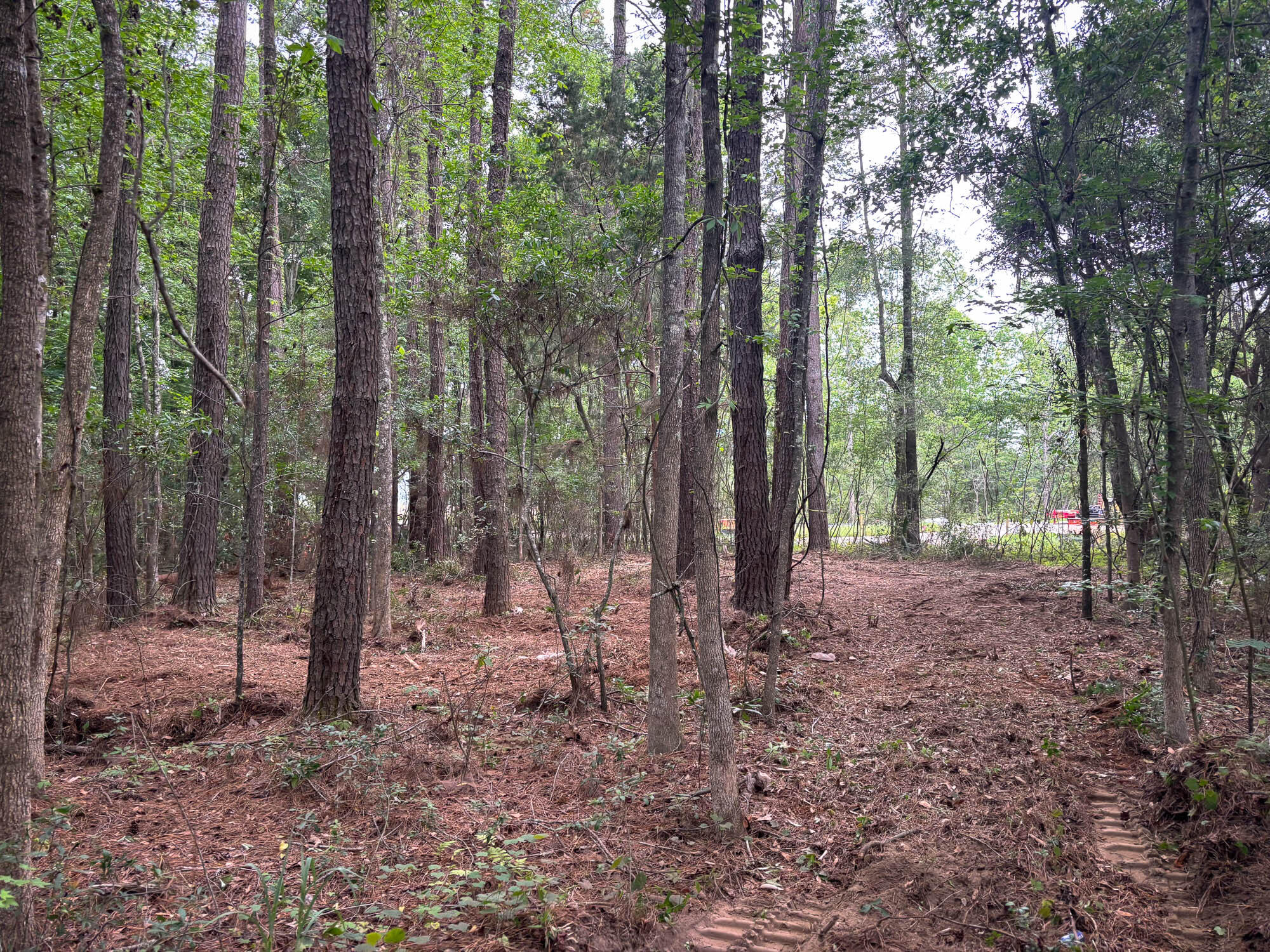 0 River Road, Unit A2 Johns Island, SC 29455 - Photo 2 of 3 IMG_9614