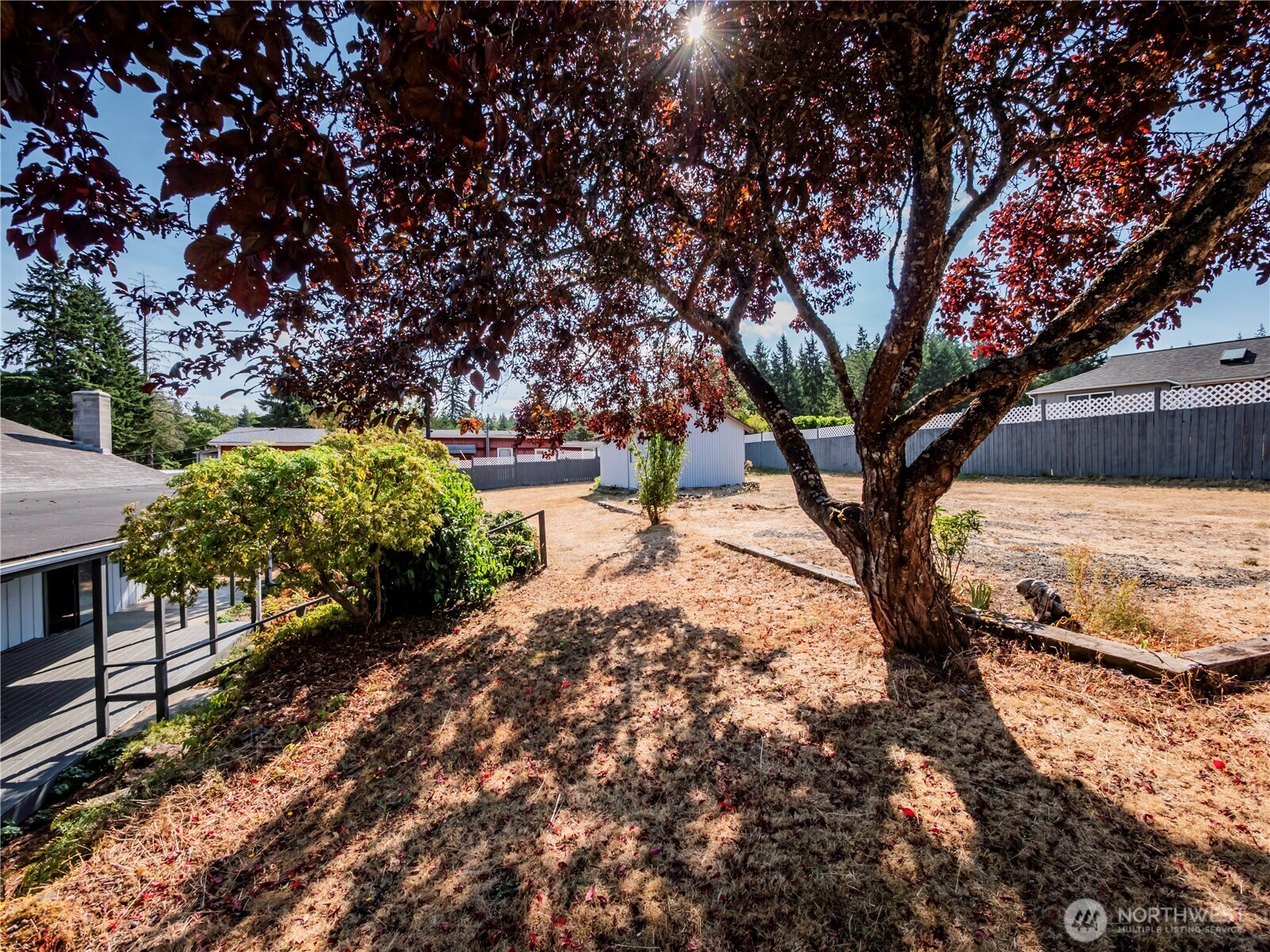 500 Mill Creek Road Southeast Shelton, WA 98584 - Photo 5 of 39 a view of backyard with tree