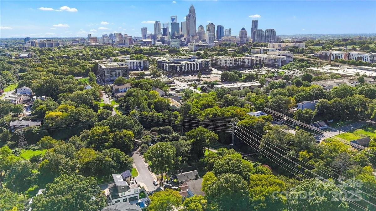 1409 North Alexander Street Charlotte, NC 28205 - Photo 42 of 47