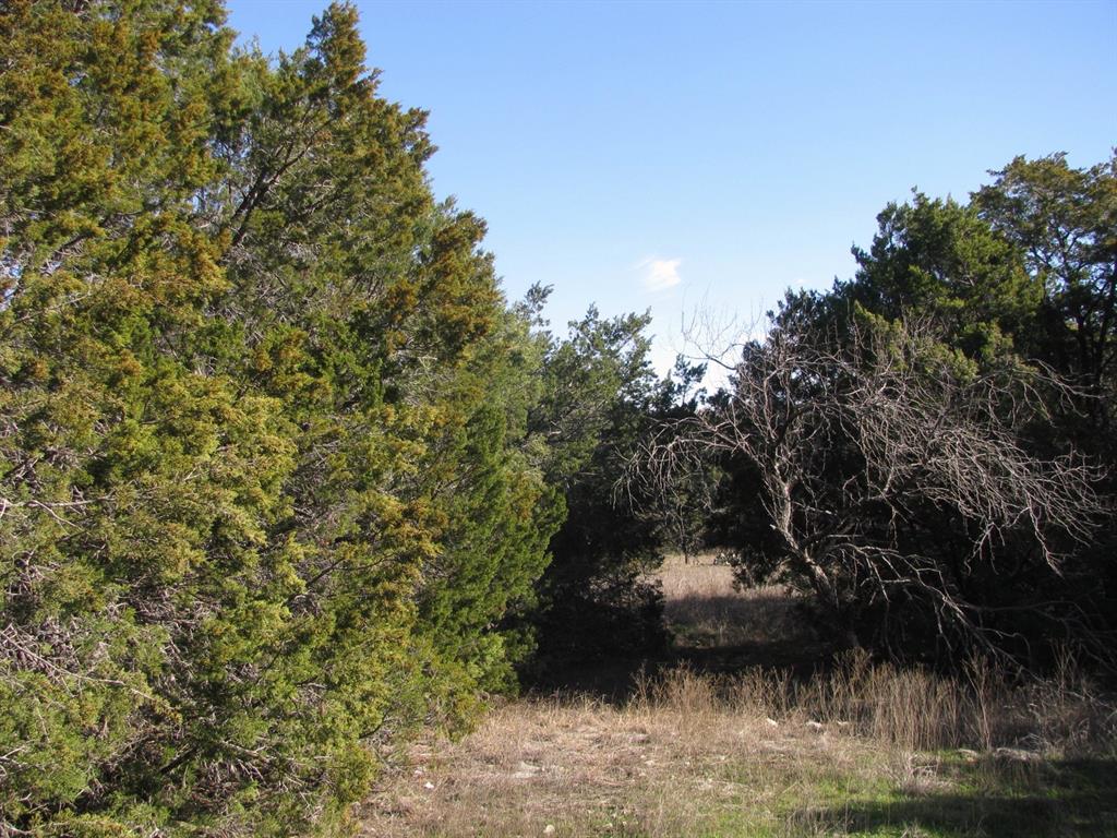 Lot 3-ph County Road 421 Evant, TX 76525 - Photo 4 of 27