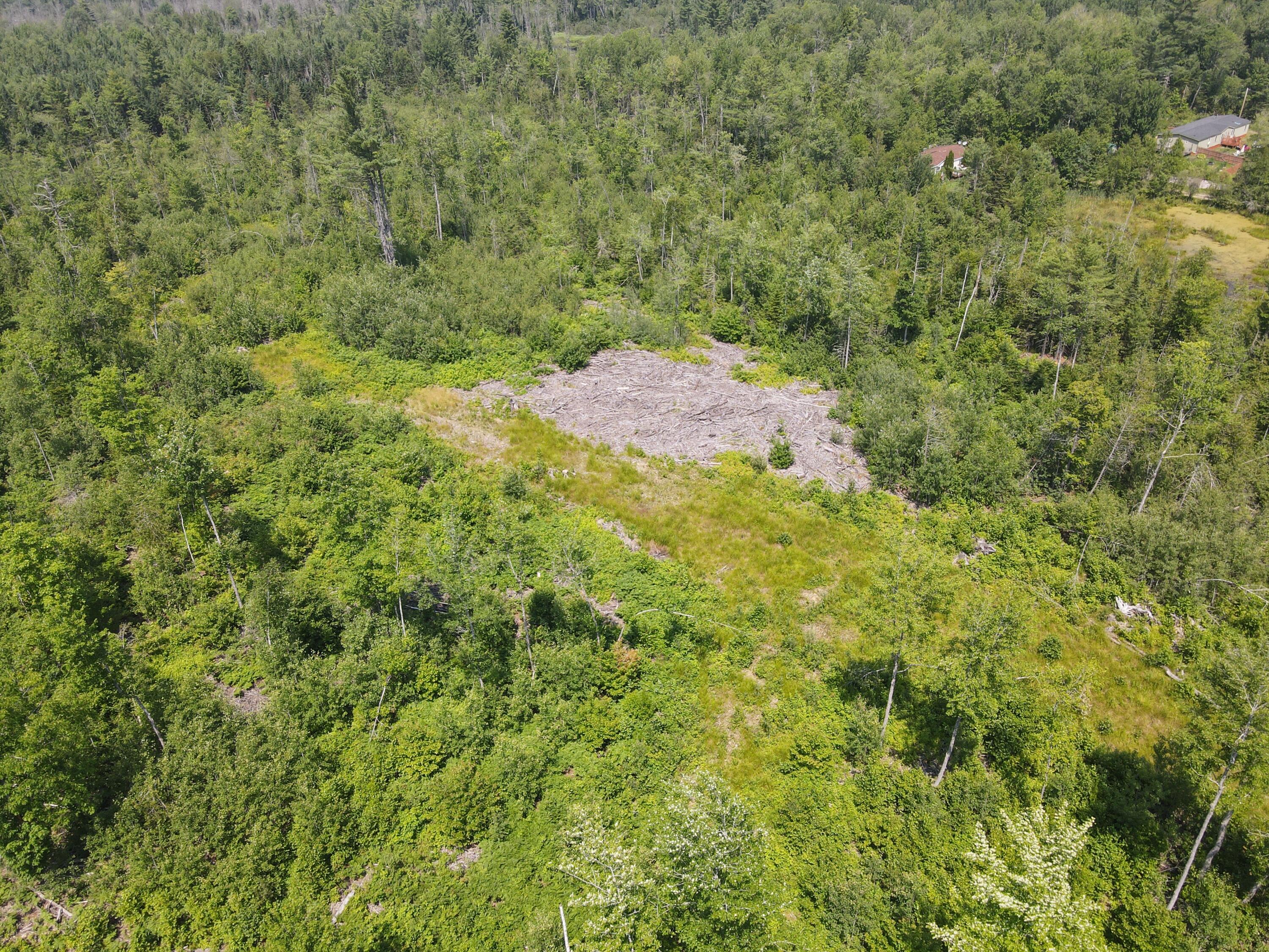 # South Levant Road Levant, ME 04456 - Photo 16 of 17 dji_fly_20250715_133100_112_175261405307