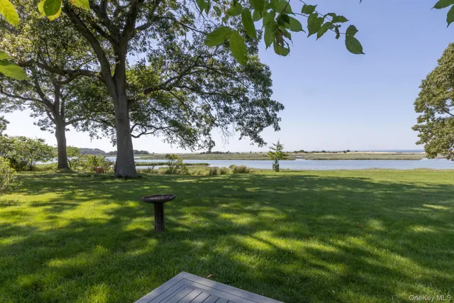 a view of yard with green space