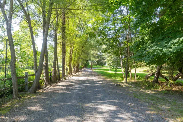 a view of outdoor space with trees all around