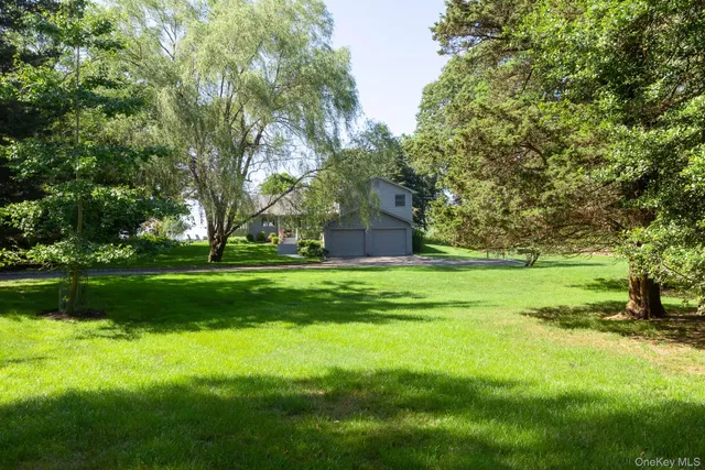 a garden view with a fountain