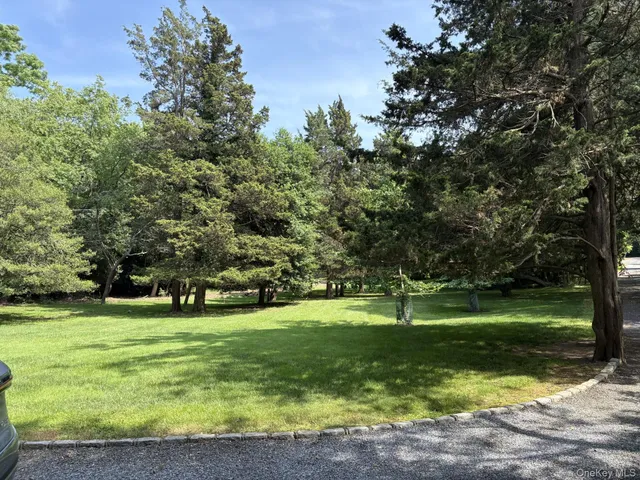 a view of a park with large trees