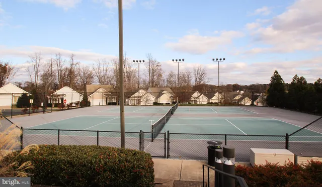 a view of a basket ball ground