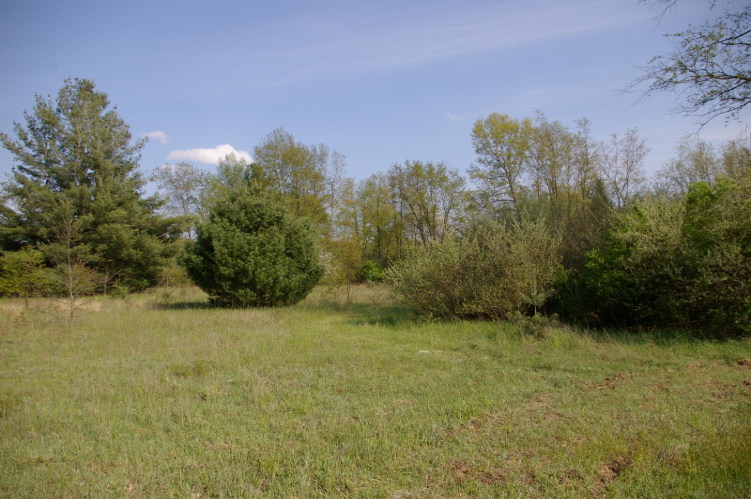IMGP8014