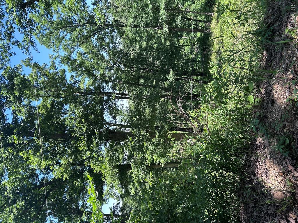 183 Graham Road Steelville, MO 65565 - Photo 78 of 82